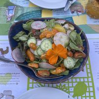 Fresh salad  at Flora Farms in San Jose Del Cabo