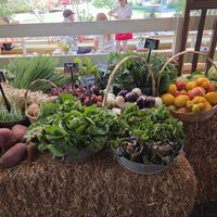 Plant foods grown on site...but not the centerpiece of your meal at Flora Farms in San Jose Del Cabo