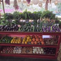  at Flora Farms in San Jose Del Cabo
