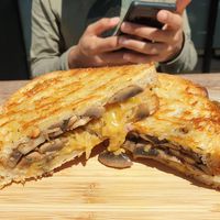 Cheesy mushroom $12.00 at Love Madre in Cheltenham