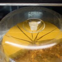 cake at Golden Era Vegan Restaurant in San Francisco