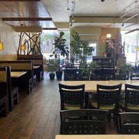 Indoor Seating w/Live Plants and Plenty of Seating  at Golden Era Vegan Restaurant in San Francisco