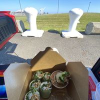 Spring Rolls 😋  at Golden Era Vegan Restaurant in San Francisco