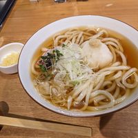 Vegan grated radish udon in hot broth at Taiko Udon in Hiroshima