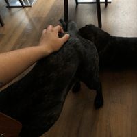   at Szabad Bisztro in Budapest