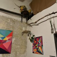   at Szabad Bisztro in Budapest