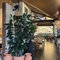   at Banana Verde in Sao Paulo