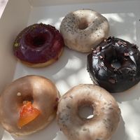 All five vegan donuts  at MOD Donuts in Warsaw