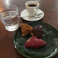 A variety of freshly made vegan donuts at MOD Donuts in Warsaw
