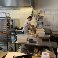 Lucky to get Vegan donuts made fresh! at MOD Donuts in Warsaw