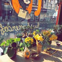 So much natural light and so many plants that make the cafe look extra cozy! at Lui Huiskamercafé in Groningen
