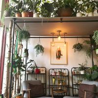 Sitting Area at Lui Huiskamercafé in Groningen