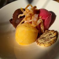 Page mandarin, blood orange & chocolate sorbet with candied zest & coconut cookies at Greens Restaurant in San Francisco