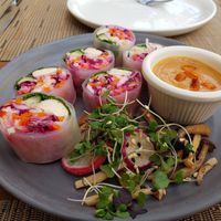 Fresh Spring Roll with beech mushroom salad and peanut sauce at Greens Restaurant in San Francisco