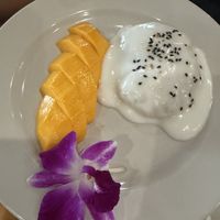 Mango sticky ricee  at Coco Thai Cuisine in Orlando