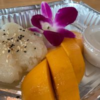 mango and sticky rice dessert  at Coco Thai Cuisine in Orlando