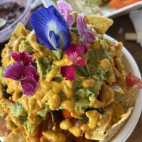   at Barefoot Zone in Captain Cook