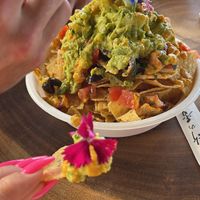   at Barefoot Zone in Captain Cook