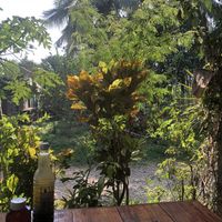   at Kapphet Vegan in Vang Vieng