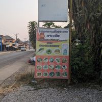  at Kapphet Vegan in Vang Vieng