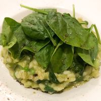 Risotto  at Sa Bodegueta in Mallorca
