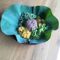 Great mixed platter  at Ranbath in Colombo