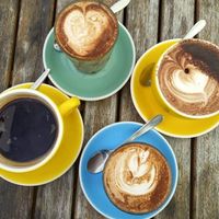 Coffee, chai and hot chocolate. All vegan. at Gratitude in Tauranga