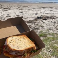 Toastie with roast vege, little bit of cheese and pesto, comes with a side of hummus I think  at Gratitude in Tauranga