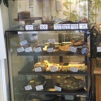   at Gratitude in Tauranga