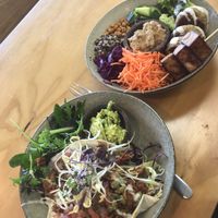 Pulled jackfruit tacos & a tofu/falafel bowl at Gratitude in Tauranga
