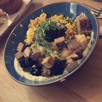 tofu bowl with mint hummus and blackberries  at Kunsthauscafé in Graz