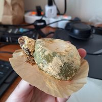 Can at Sei Vegan in Daejeon