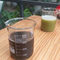 Suco de carvão ativado at Purana in Sao Paulo