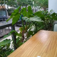  at Purana in Sao Paulo