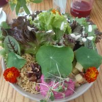 shiva bowl at Purana in Sao Paulo