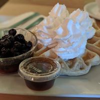 Vegan Belgian waffles with coconut whip cream! at Little Owl Cafe in Fairbanks