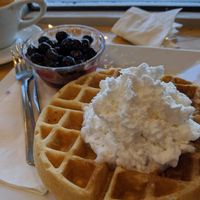 Coconut whip cream vegan gf waffles at Little Owl Cafe in Fairbanks