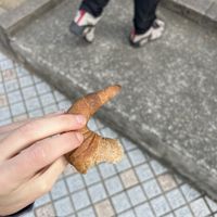 croissant - so not what i was expecting, it was salty and savoury. more of a sourdough base than a pastry , no sweetness at all.  at ao in Kamakura