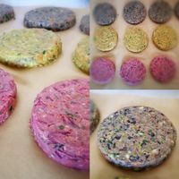 Vegan burguers, quinoa with black beans, green lentils with sweet potato, chickpea with Beetroot... at Vegetarian Take-away in Torres Vedras