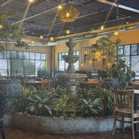 Beautiful spot   at La Fiesta Chatham in Springfield