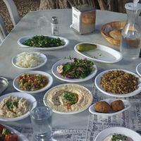 Vegan option, super tasty treditional food, plesent environent, some 80NIS per person, garden sitting, excellent hosting at El-Vadi in Mi Ilya
