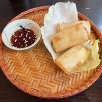Spring rolls  at Goc Pho in Frankfurt