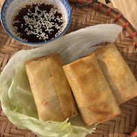 Spring Rolls  at Goc Pho in Frankfurt