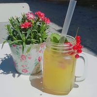 Homemade iced tea at MoMa in Mons