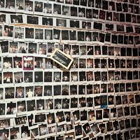   at Tane Vegan Izakaya in Honolulu