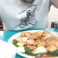 Tofu & Mushroom dish, with a side of rice. at Lucky Creation Vegetarian in San Francisco