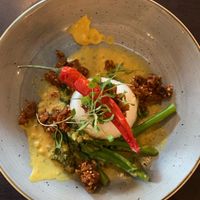 Vegan Coconut & Aubergine Curry at The Fox in Harpenden