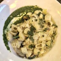 Conchiglie Alfredo at Millennium in Oakland