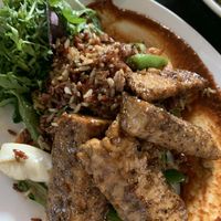 Tempeh  at Millennium in Oakland