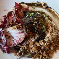 Red Wine Mushroom Farrotto  at Millennium in Oakland